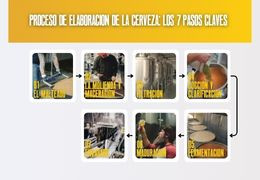 Proceso de elaboración de la cerveza: los 7 pasos claves 